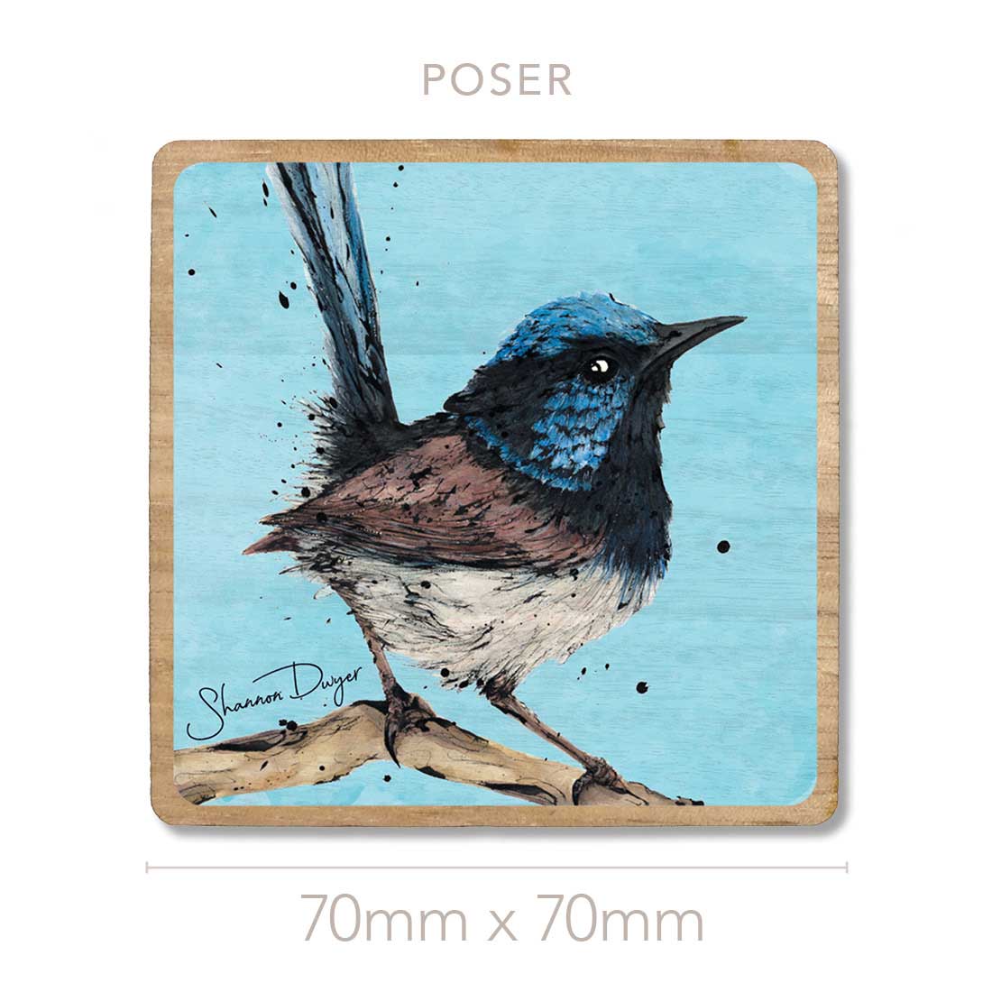 'Poser' the Superb Fairy-wren