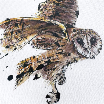 SOLD – 'Mask!', the Tasmanian Masked Owl