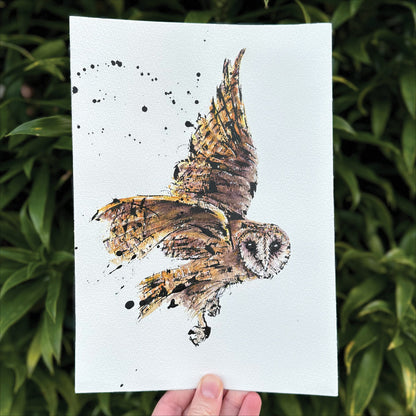 SOLD – 'Mask!', the Tasmanian Masked Owl