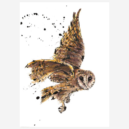 SOLD – 'Mask!', the Tasmanian Masked Owl