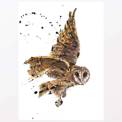 SOLD – 'Mask!', the Tasmanian Masked Owl