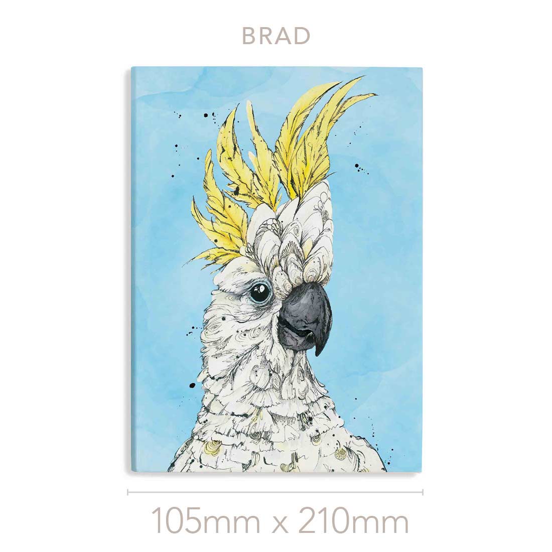 'Brad' the Sulphur-crested Cockatoo