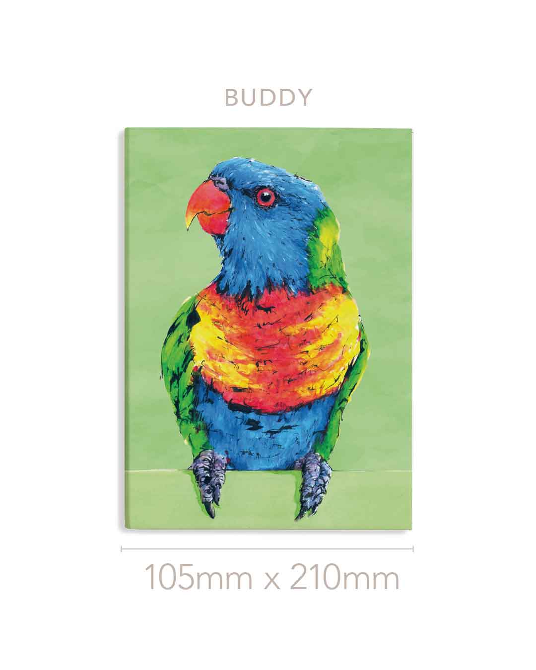 'Buddy' Rainbow Lorikeet | Notebook | Australian Wildlife Art | Shannon Dwyer Artist