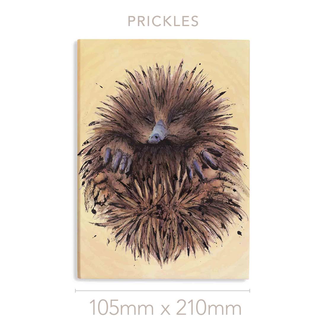 'Prickle' the Echidna