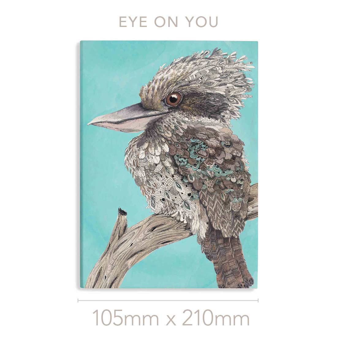 'Eye on You' the Laughing Kookaburra