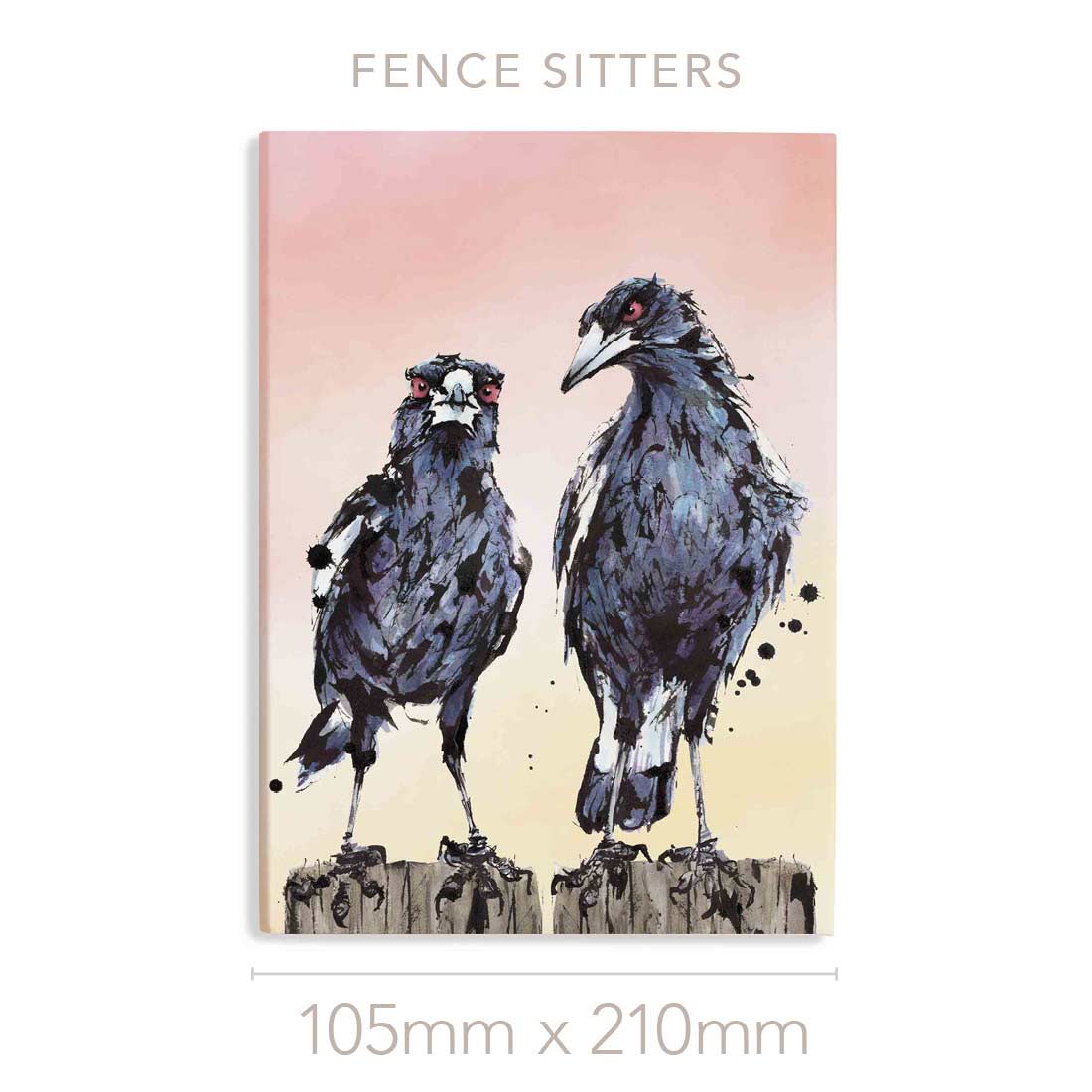 'Fence Sitters' Australian Magpies