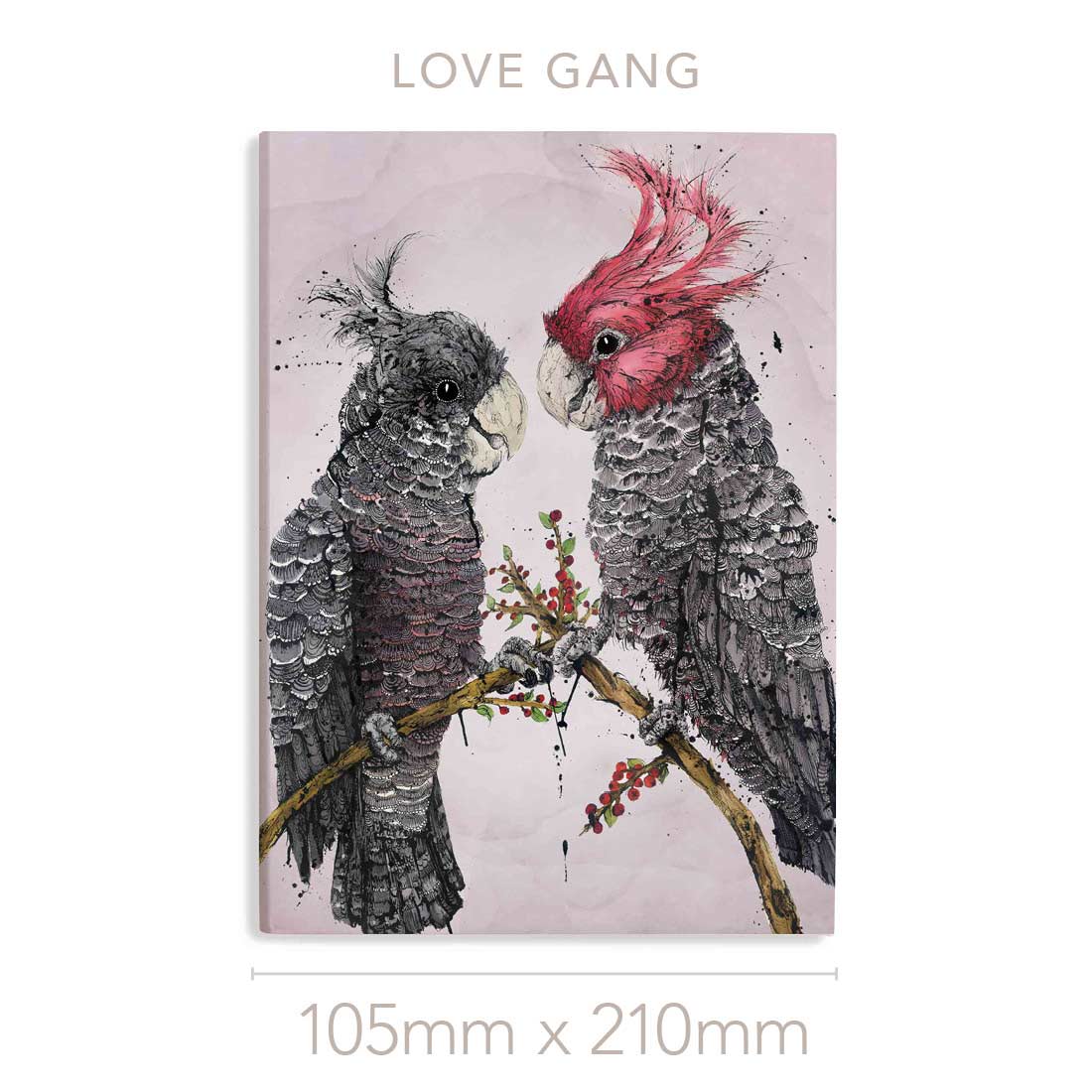 'Love Gang' the Gang-gang Cockatoo