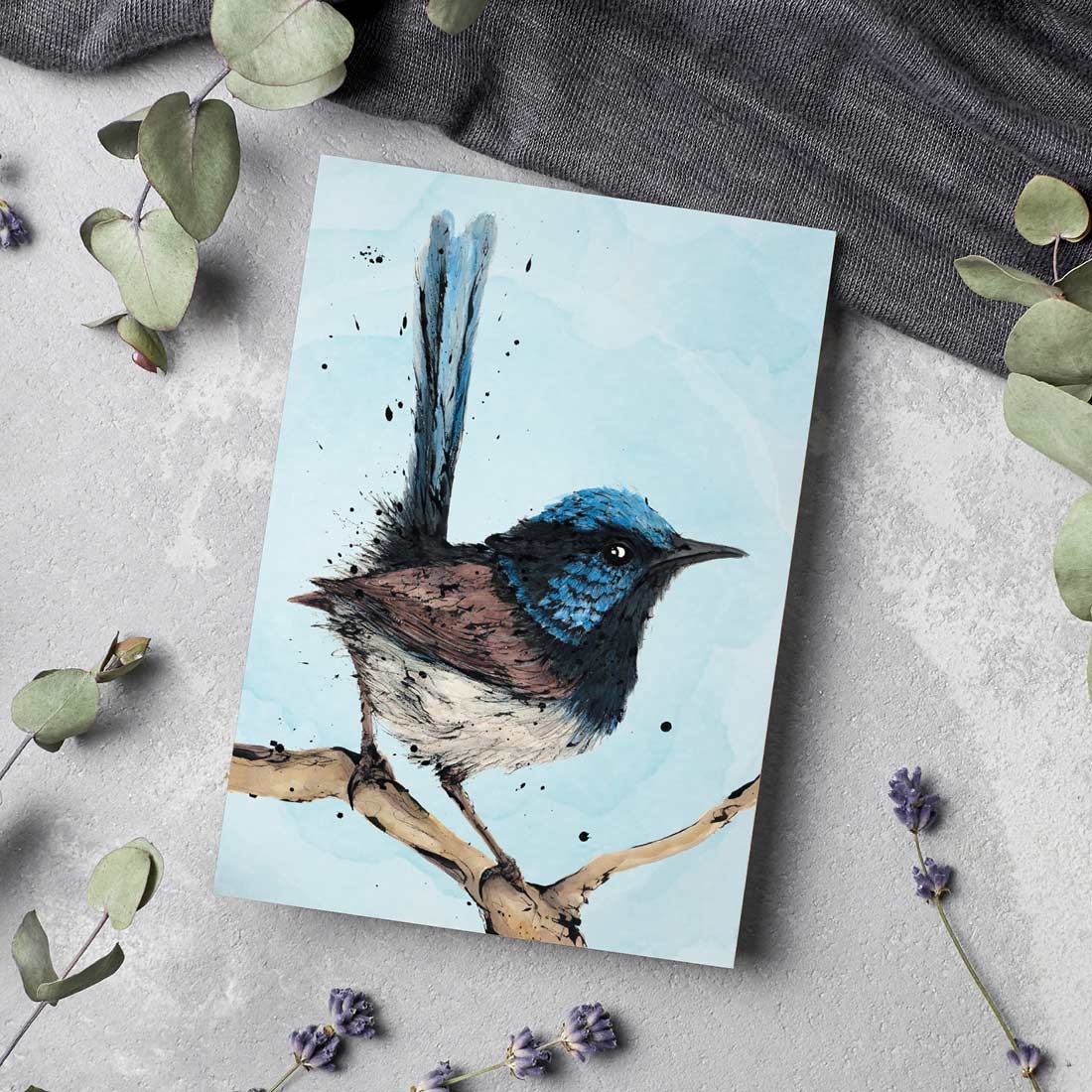 'Poser' the Superb Fairy-Wren