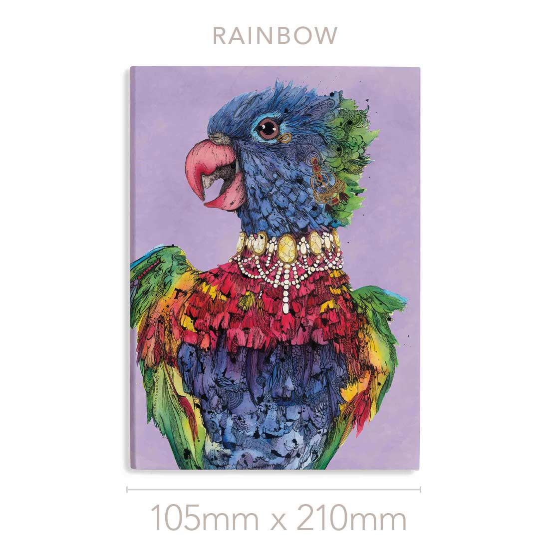 'Rainbow' the Rainbow Lorikeet