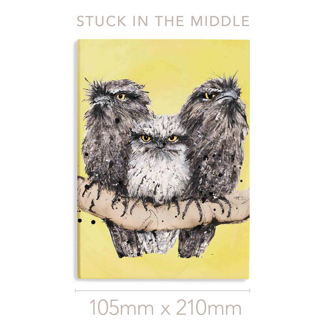 'Stuck in the Middle' Tawny Frogmouths