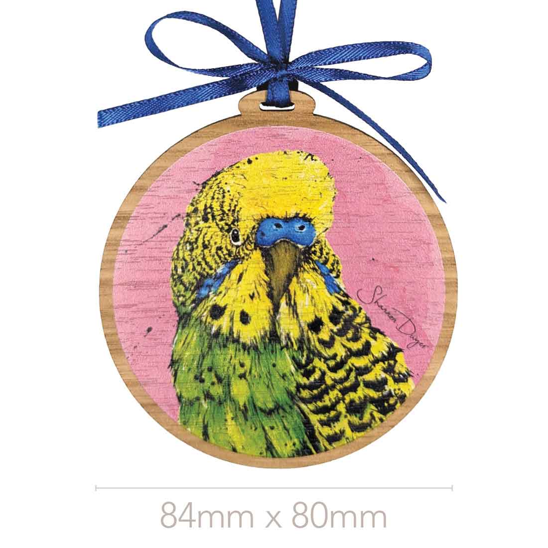 'Bashful' Budgerigar