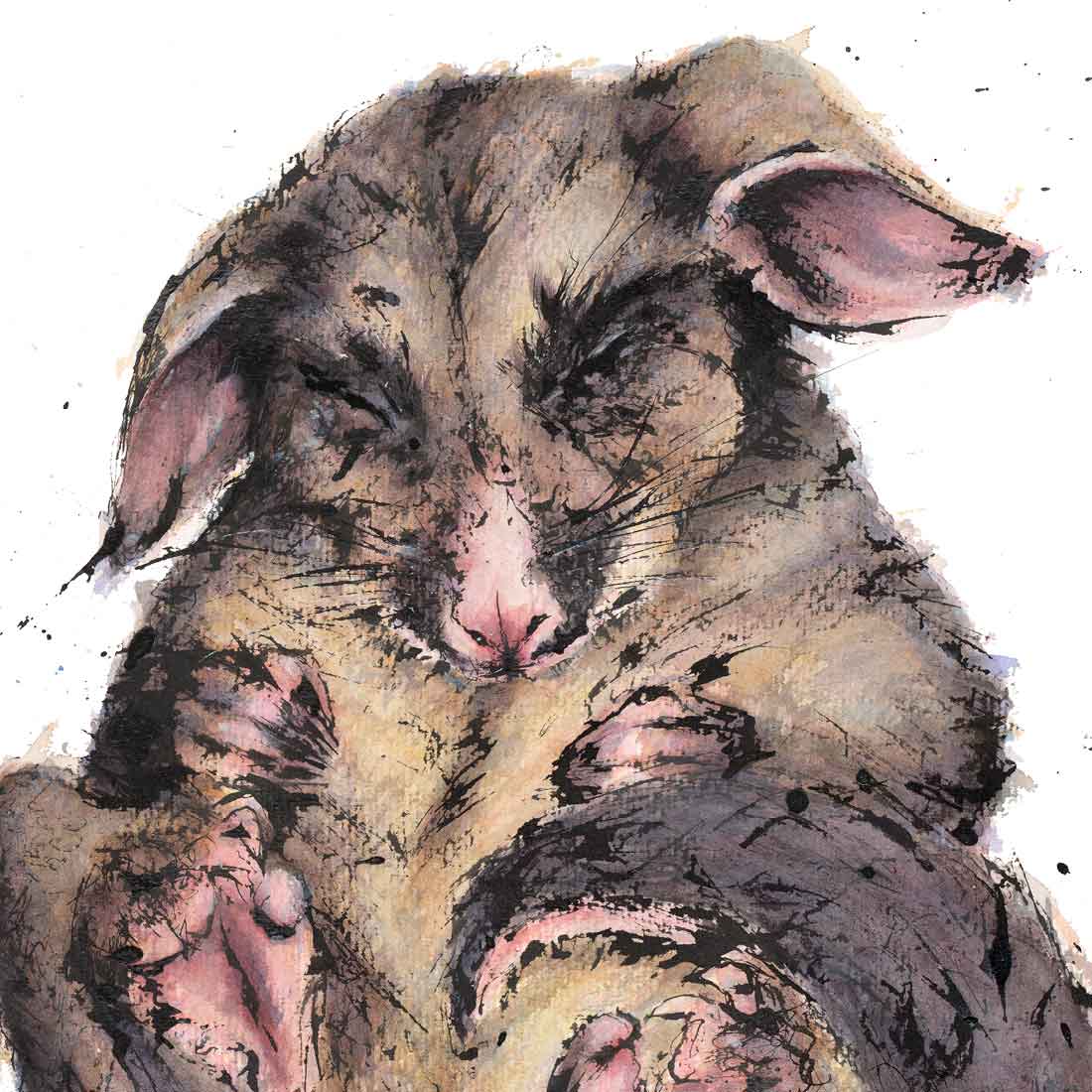 'Precious', Possum