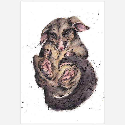 'Precious', Possum