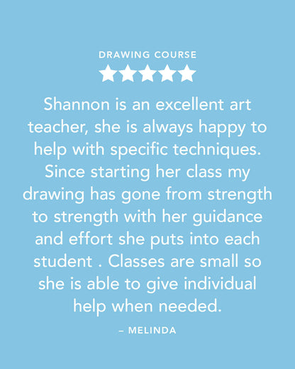Afternoon Wildlife Drawing Courses