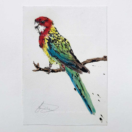 'ROSIE', the Rosella