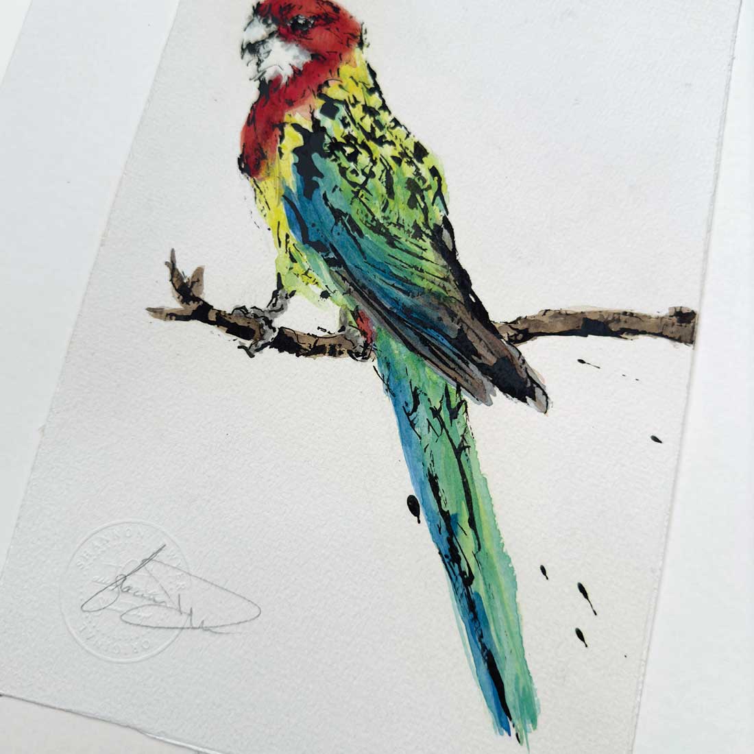 'ROSIE', the Rosella