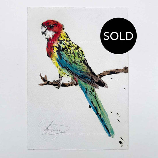 SOLD - 'ROSIE', the Rosella