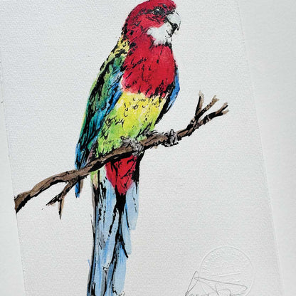 'ROWAN', the Rosella - original artwork