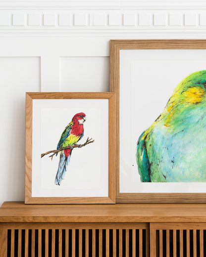'ROWAN', the Rosella - original artwork