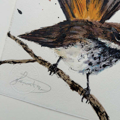 'RIO!', the Rufous Fantail