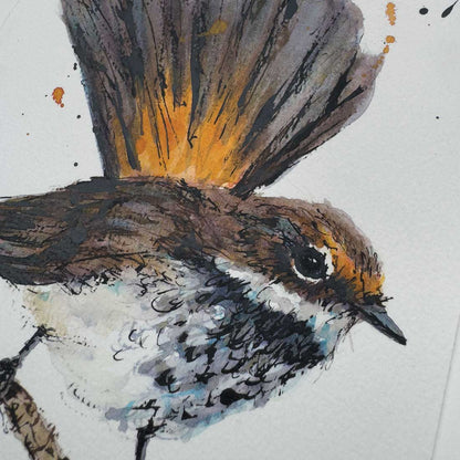 'RIO!', the Rufous Fantail