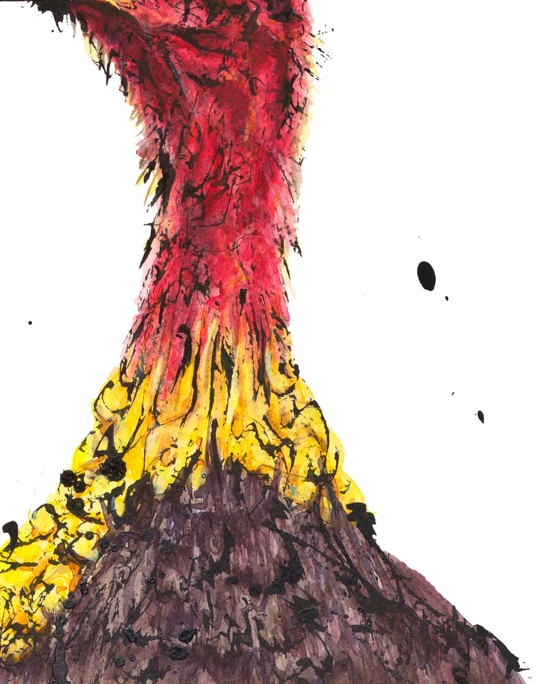 Ya Turkey! the Brush Turkey, Fine Art Print