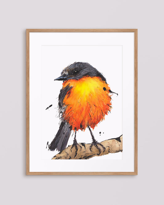 'Fireball' the Flame Robin | Fine Art Print | Australian Wildlife Art