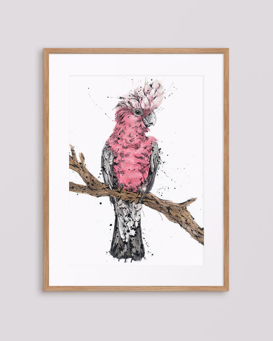 Flamin' Galah