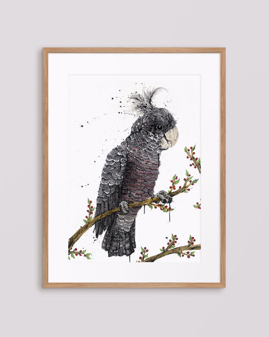 'Grey Goddess' Gang-Gang Cockatoo