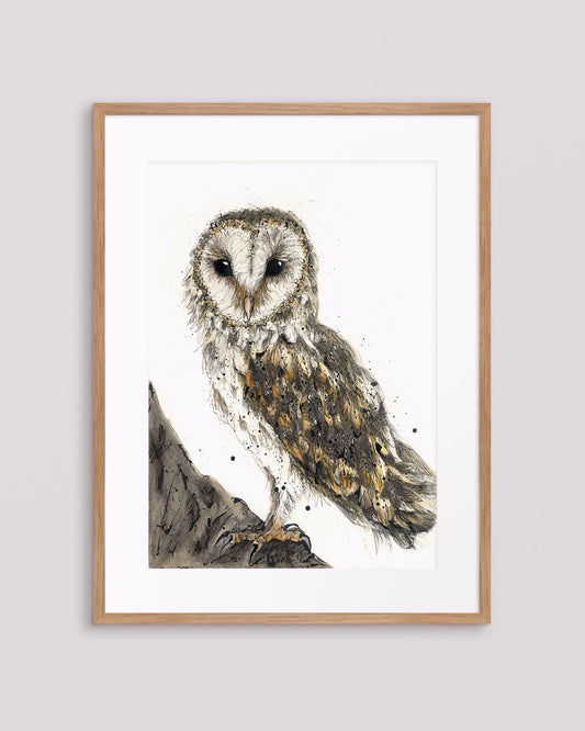 'Jarli' Barn Owl