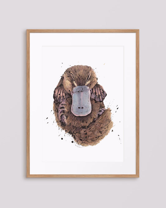 'Snuggles' Platypus