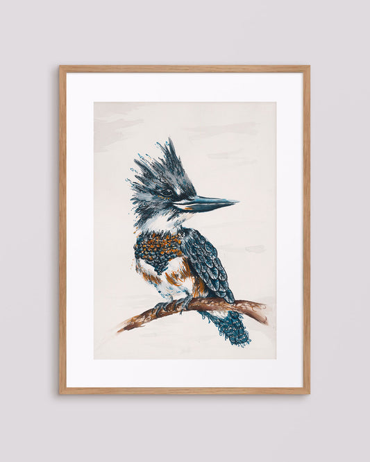 'The King', Kingfisher