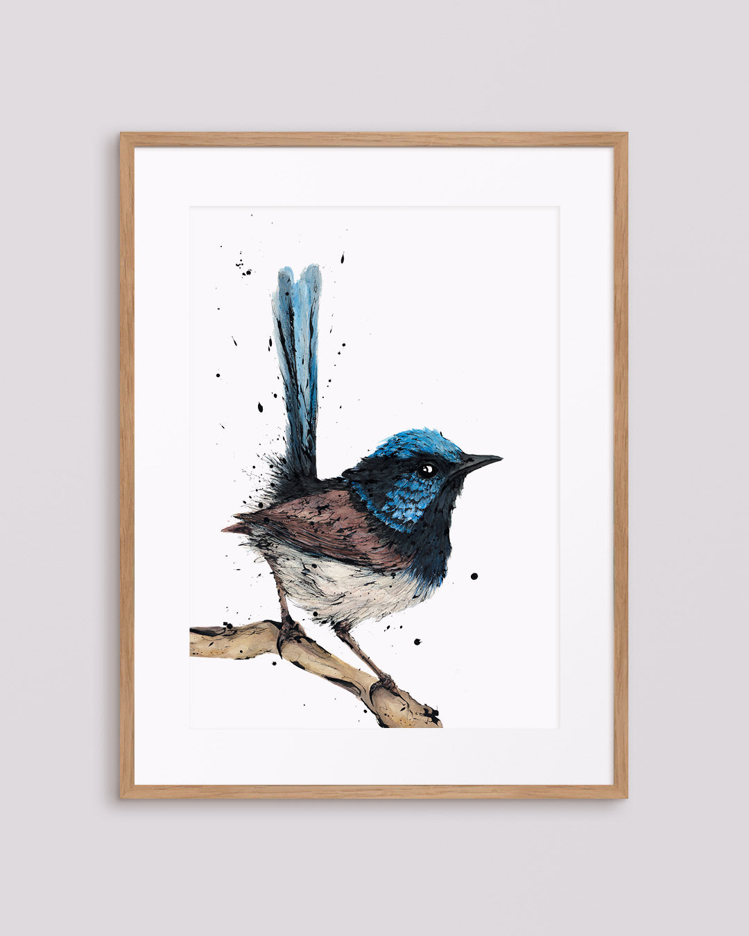 Superb Fairy-wren fine art print by Australian wildlife artist Shannon Dwyer