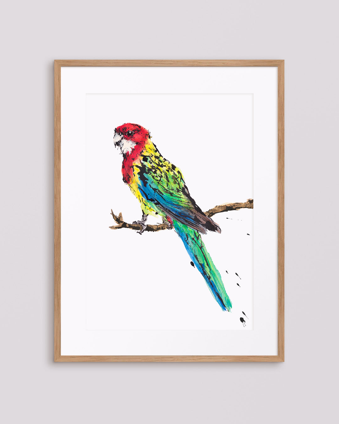 'Rosie' the Eastern Rosella | Fine Art Print | Australian Wildlife Art