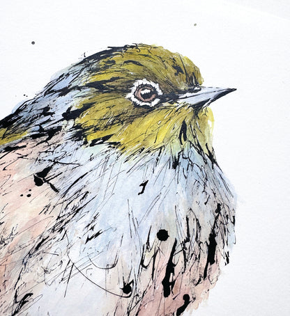'SPIKE', the Silvereye - original artwork