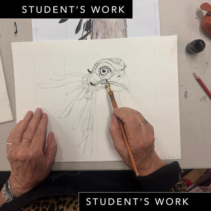 Wednesday Night Wildlife Sydney Drawing Course