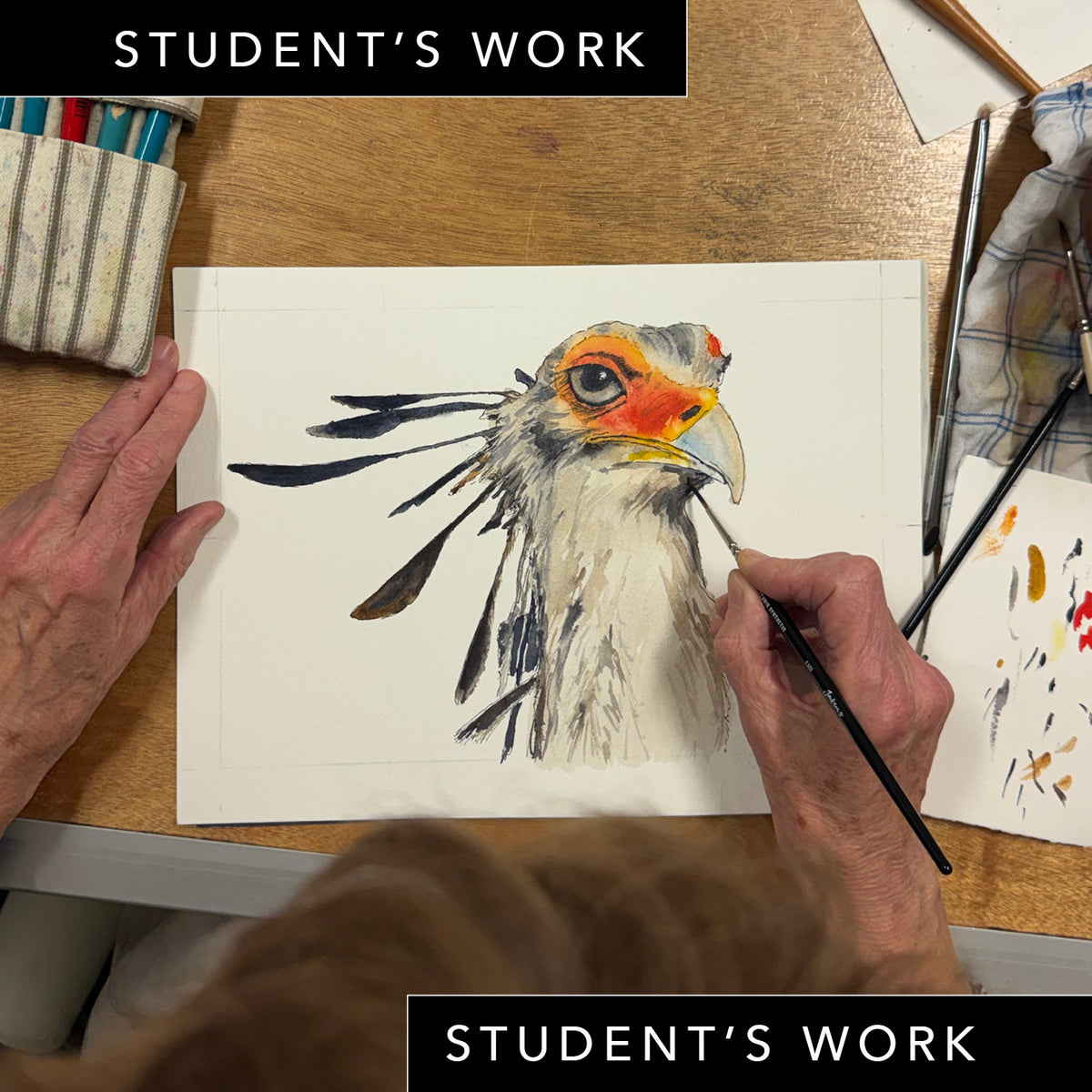 Monday Night Wildlife Drawing Course