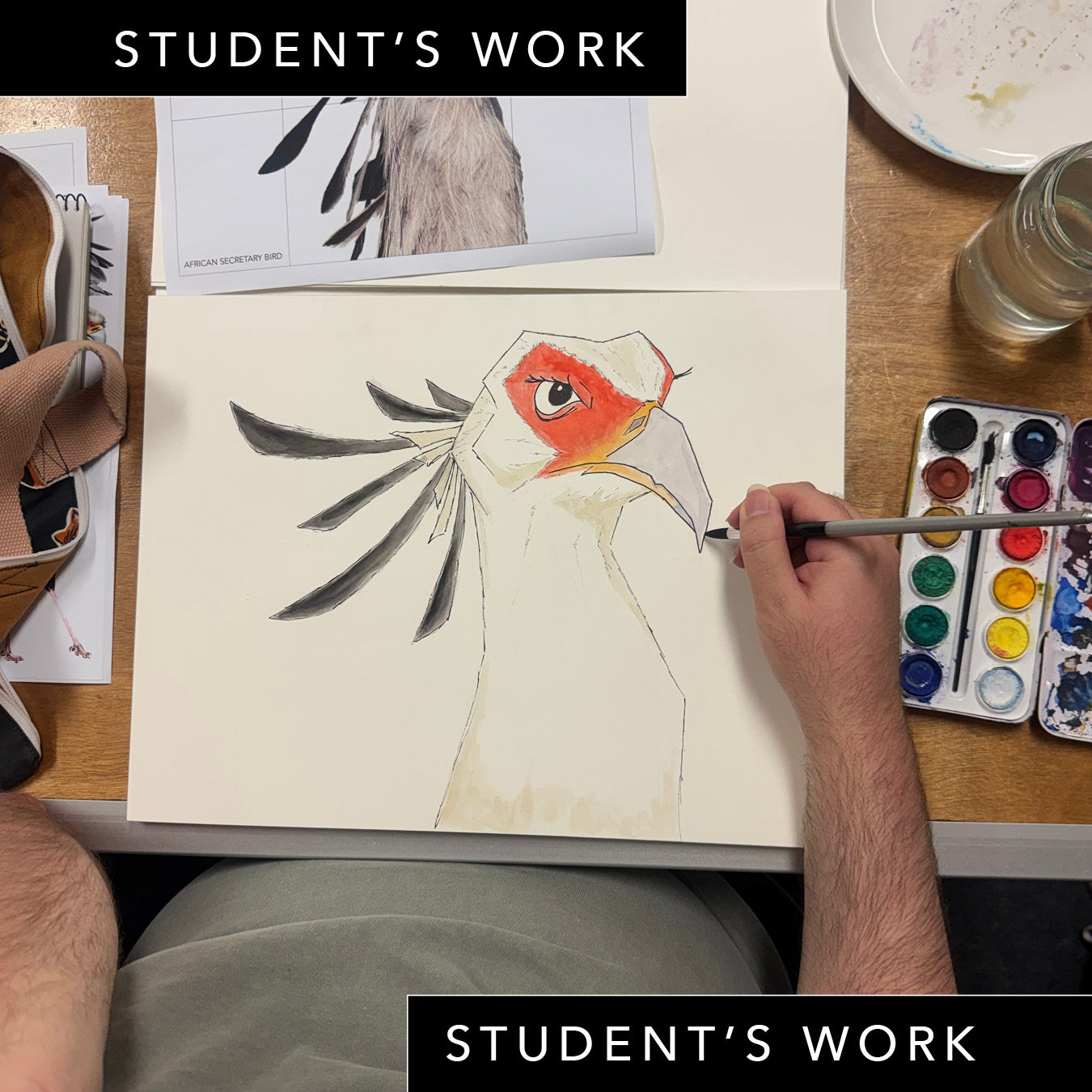 Wednesday Night Wildlife Sydney Drawing Course