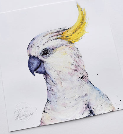 'SUNSHINE', the Sulphur-crested Cockatoo - original artwork