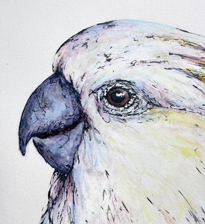 'SUNSHINE', the Sulphur-crested Cockatoo - original artwork