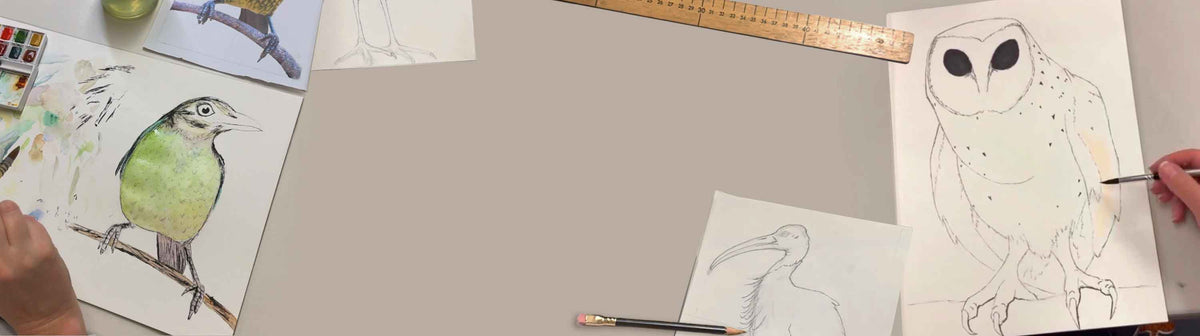 Wildlife Drawing Classes | Shannon Dwyer Artist
