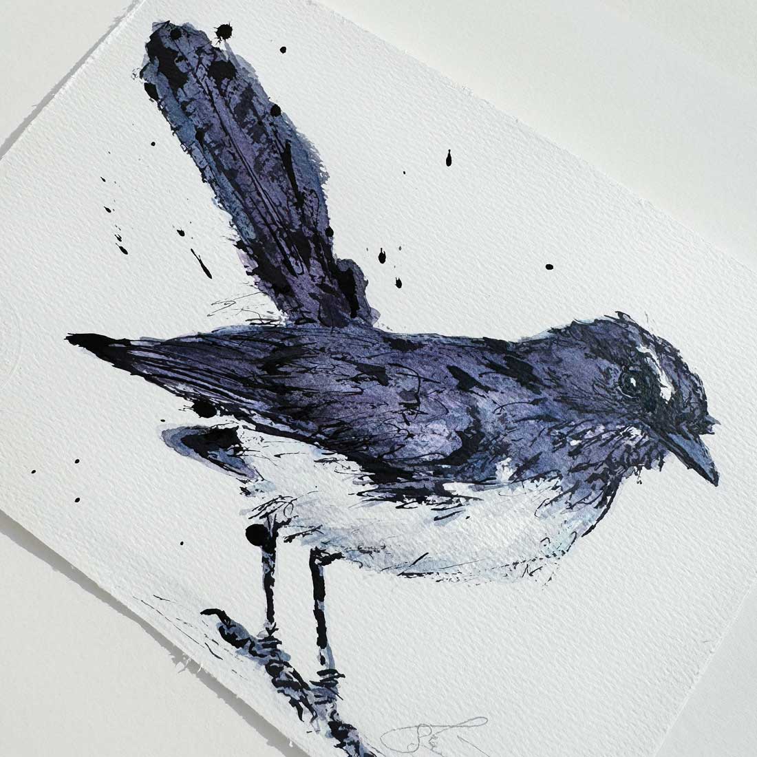 'WALTER', Willie Wagtail