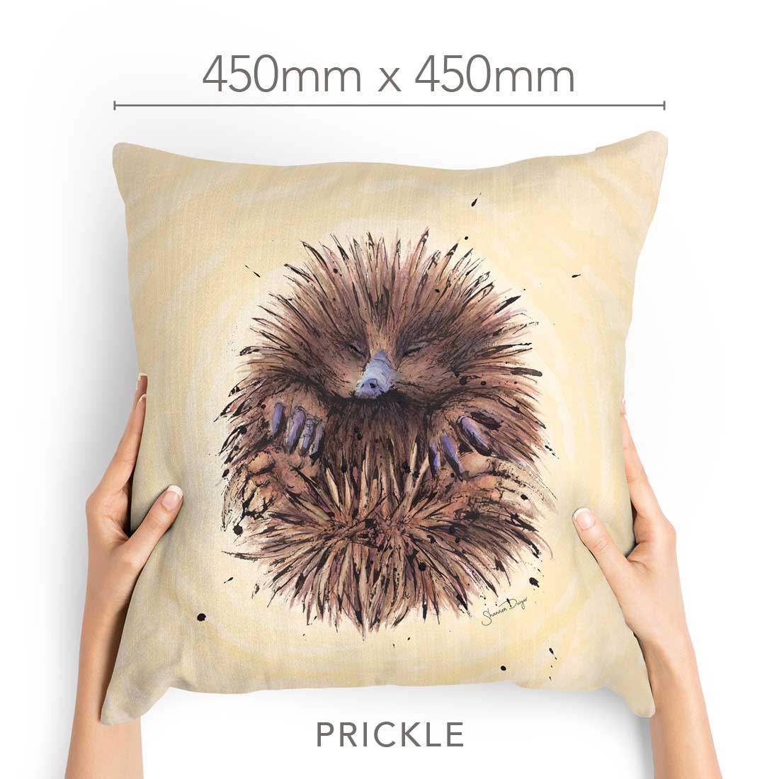 'Prickle' the Echidna