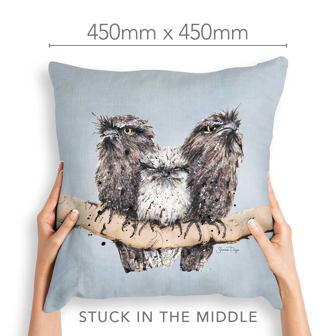 'Stuck in the Middle' the Tawny Frogmouths