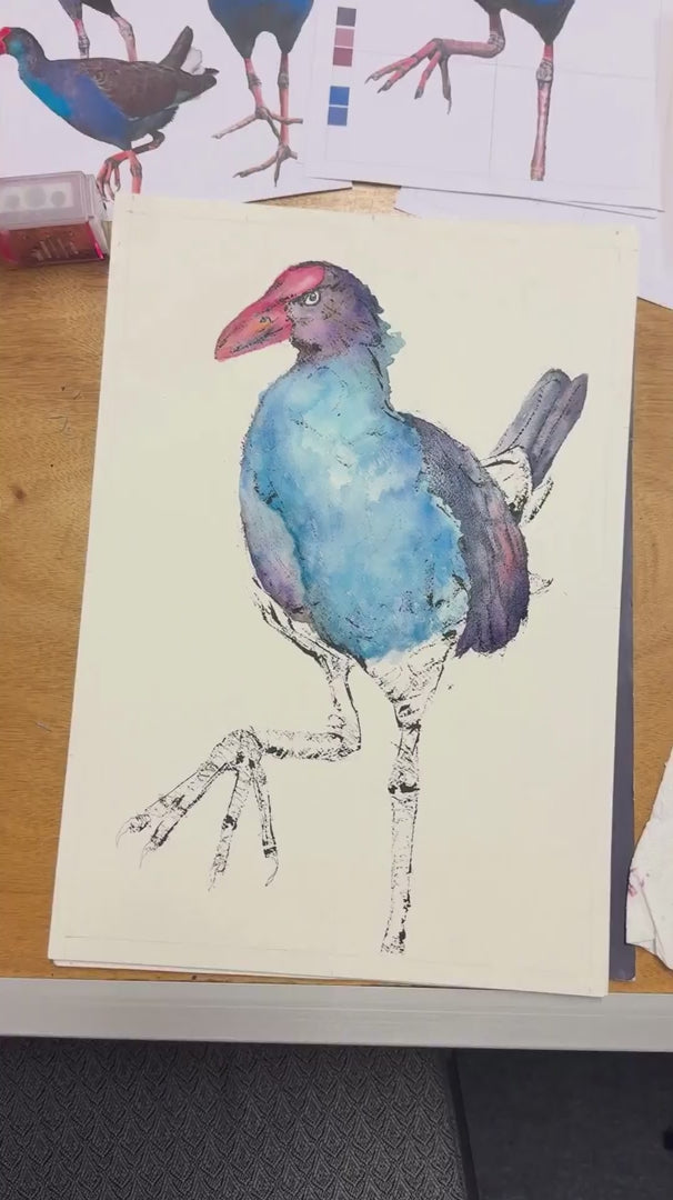 Load video: Video of student artwork and praise for Shannon Dwyer's Wildlife Drawing Class in Leichhardt, Sydney, NSW