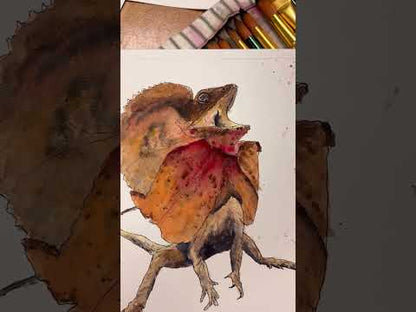 Wednesday Afternoon Wildlife Sydney Drawing Courses
