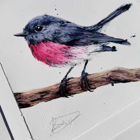 'SITTING PRETTY', the Rose Robin