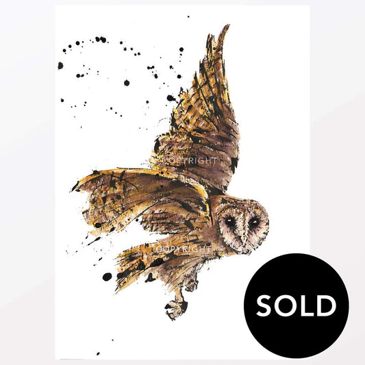 SOLD – 'Mask!', the Tasmanian Masked Owl