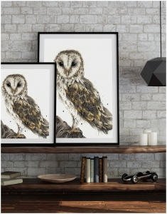 Barn Owl, Jarli, Australian Art