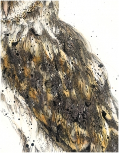 Barn Owl, Jarli, Australian Art